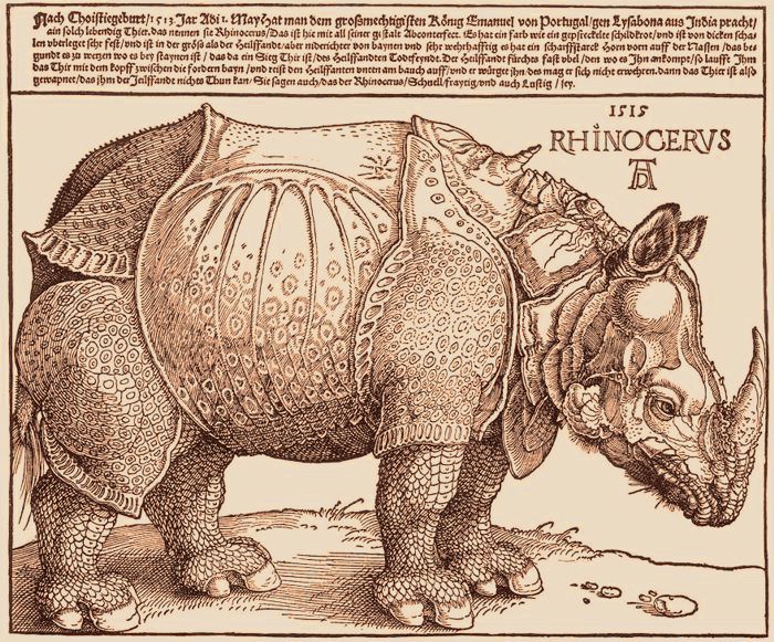D rer's drawing of the rhinoceros served as a sketch for a woodcut print of