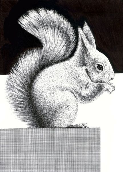 How to Draw a Squirrel with Pen and Ink