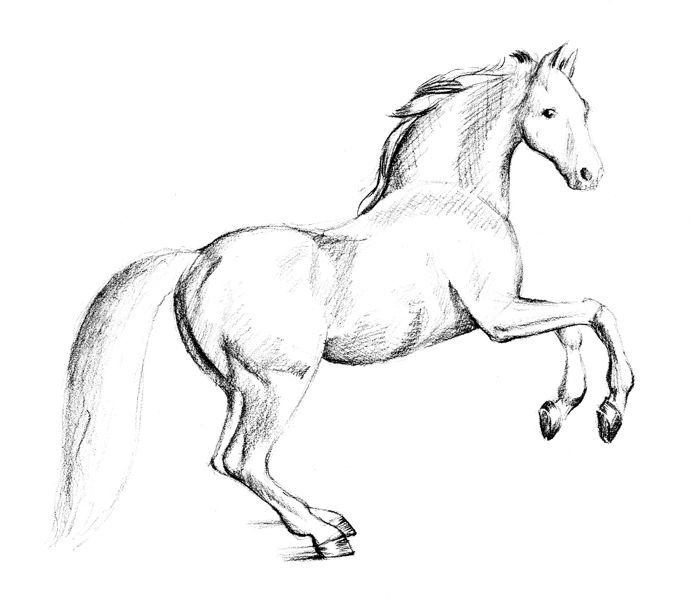 Tony Draws A Horse [1950]
