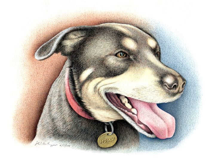 How to Paint a Dog with Watercolors