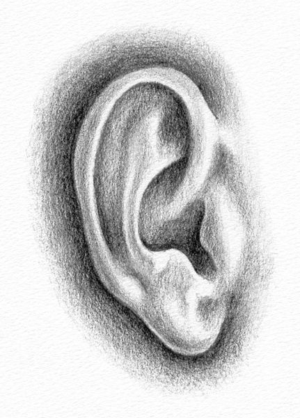 How to Draw an Ear - Step 3
