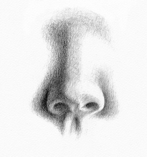 How to Draw a Nose - Step 3