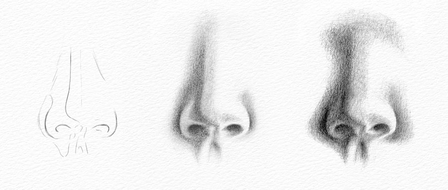 Pencil Portraits How to Draw a Nose