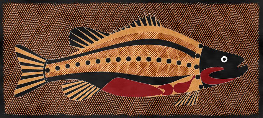 Aboriginal Boomerang Designs