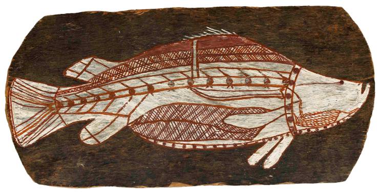 Aboriginal Bark Art - Barramundi