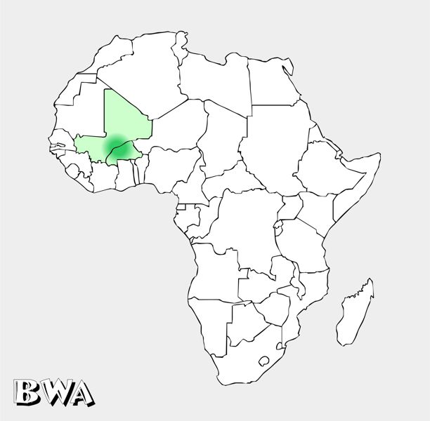 Bwa Territory Map