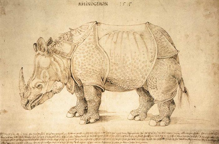 'Rhinoceros' 1515 (pen and ink)