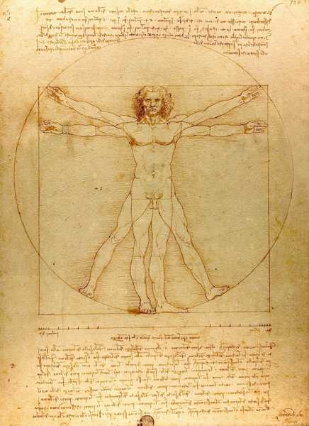 'Vitruvian Man' (c.1490) by Leonardo da Vinci