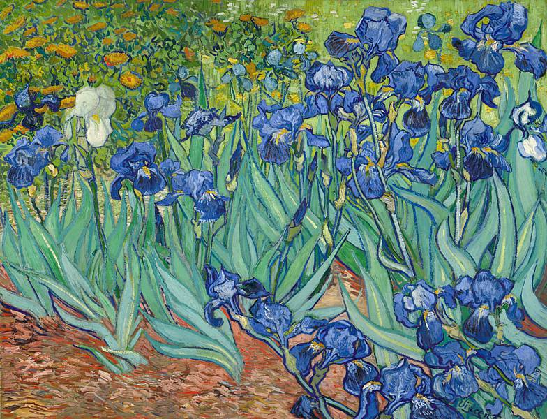 VINCENT VAN GOGH (1853-1890) 'Irises', 1889 (oil on canvas)
