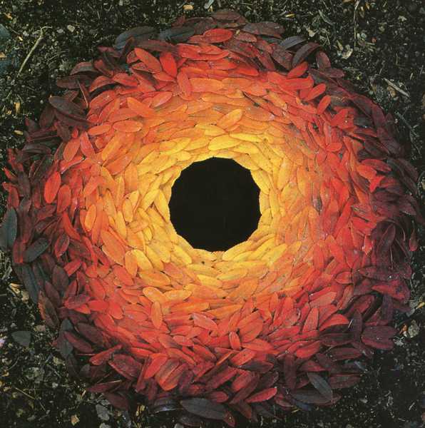 ANDREW GOLDSWORTHY (1956-) Rowan Leaves Laid Around Hole, October 25th 1987 (photograph)