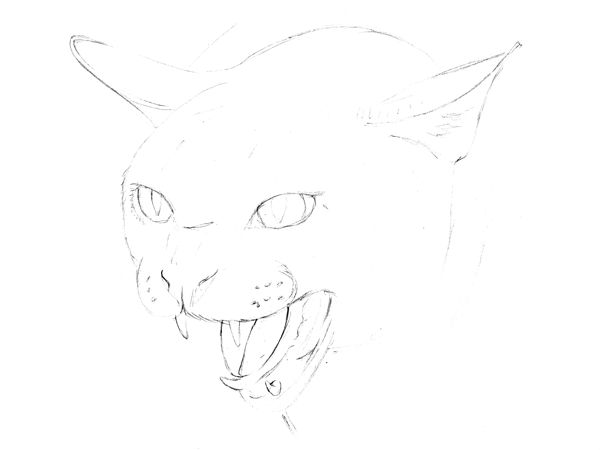 Drawing a Cat: Step 1