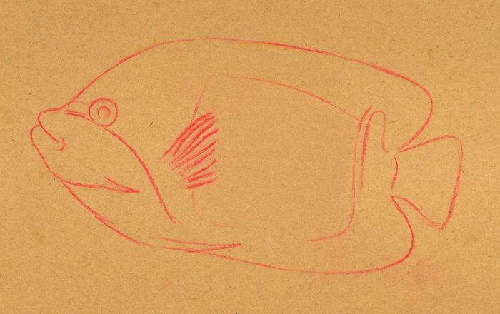 Drawing a Tropical Fish: Step 1