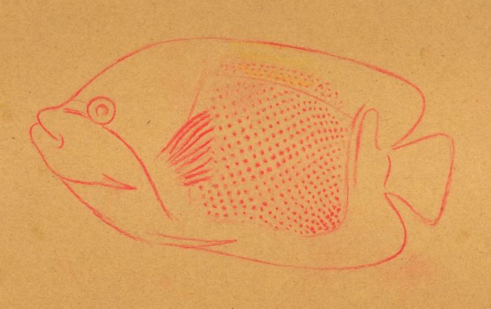 Drawing a Tropical Fish: Step 2