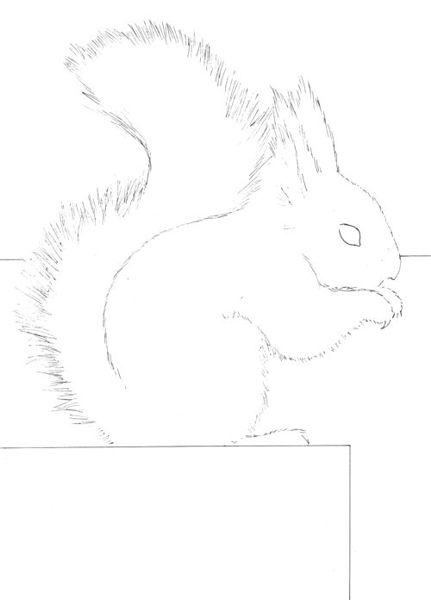 Drawing a Squirrel: Step 2