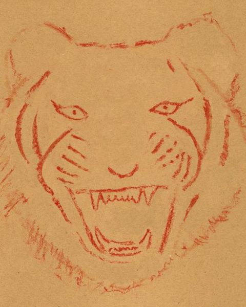 Drawing a Tiger: Step 1