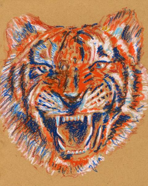 Drawing a Tiger: Step 5