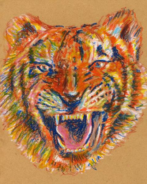 How to Draw a Tiger with Oil Pastels