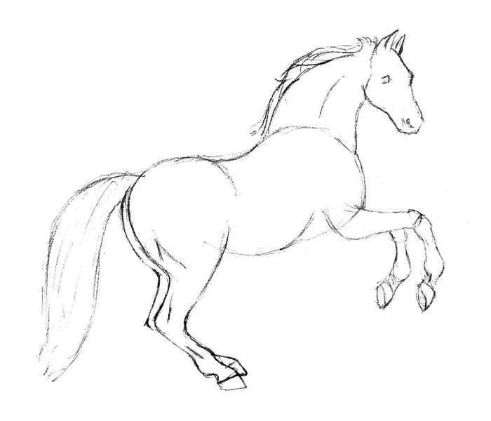 Drawing a Horse: Step 1