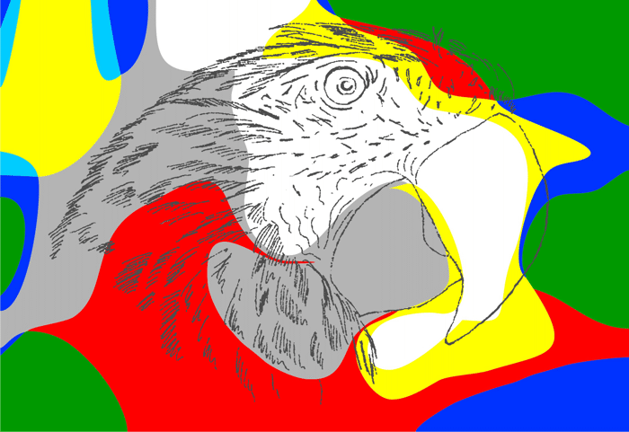 Painting a Parrot: Step 4