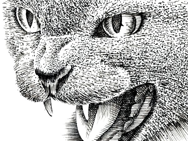 Detail: Hatching and Stippling builds Tone and Texture