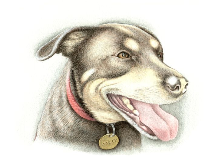 Painting a Dog: Step 8