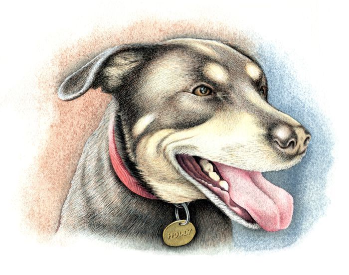 Painting a Dog: Step 9