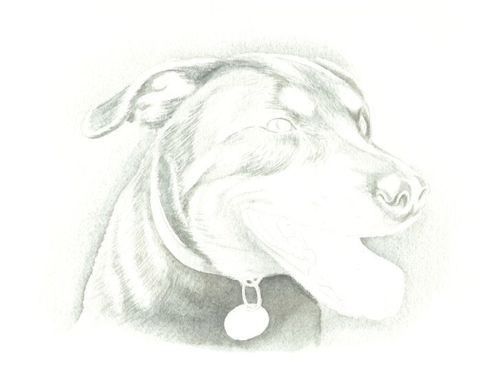 Painting a Dog: Step 3