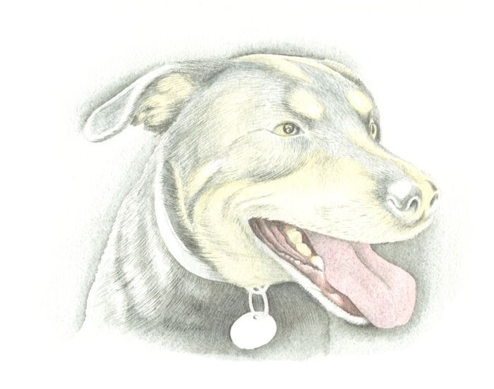 Painting a Dog: Step 4