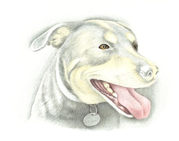 Painting a Dog: Step 5