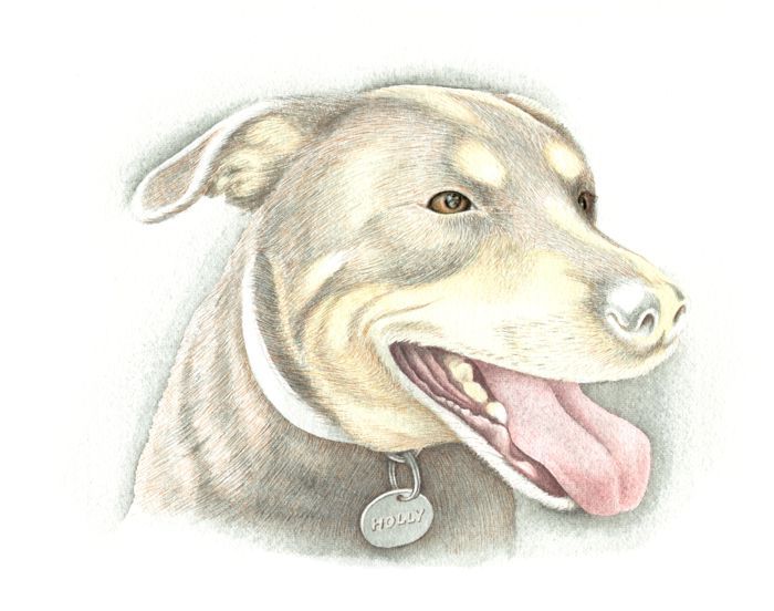 Painting a Dog: Step 6