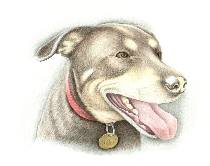 Painting a Dog: Step 7