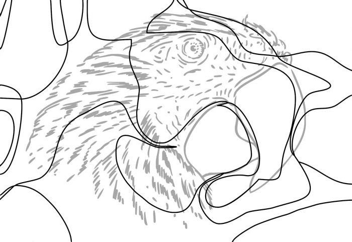 Painting a Parrot: Step 1