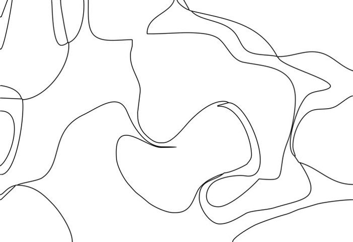 Drawing a Parrot: Step 1