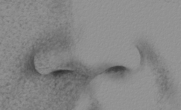 Charcoal Portraits - Drawing the Nose: Step 4