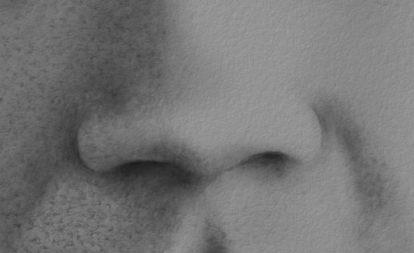 Charcoal Portraits - Drawing the Nose: Step 5
