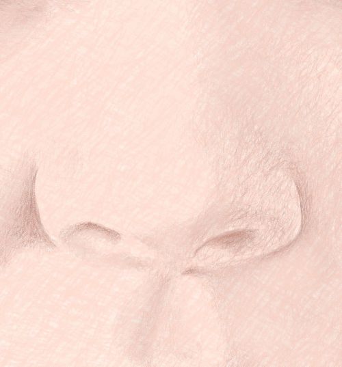 Color Pencil Portraits - How to Draw the Nose: Step 3