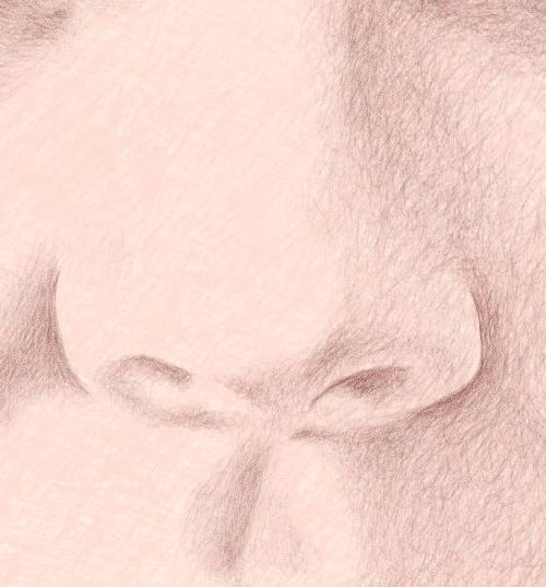 Color Pencil Portraits - How to Draw the Nose: Step 4