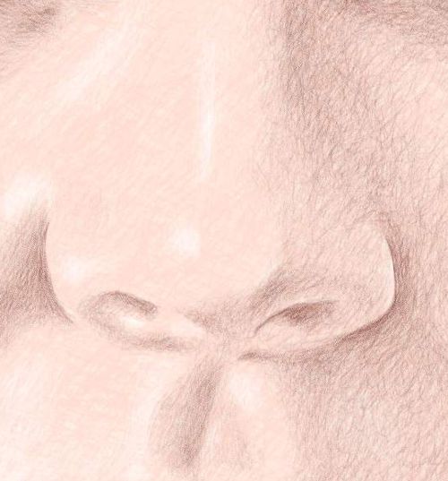 Color Pencil Portraits - How to Draw the Nose: Step 5