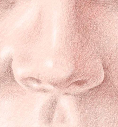 Color Pencil Portraits - How to Draw the Nose: Step 6
