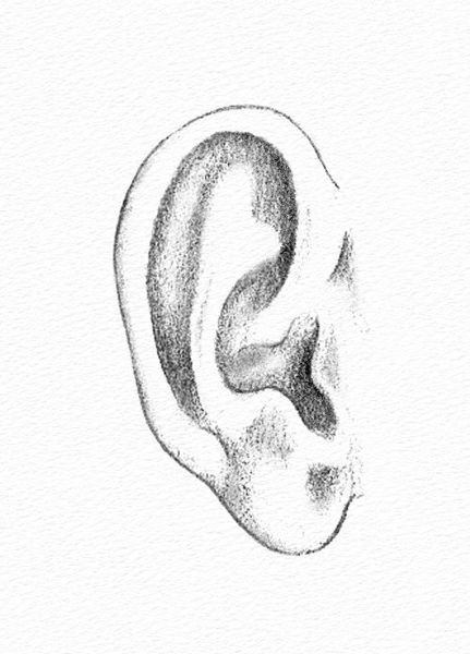 How to Draw an Ear - Step 2