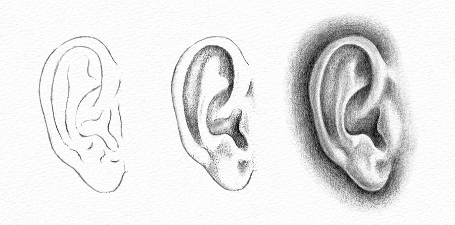 How to Draw an Ear