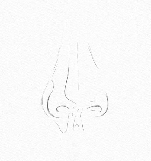 How to Draw a Nose - Step 1