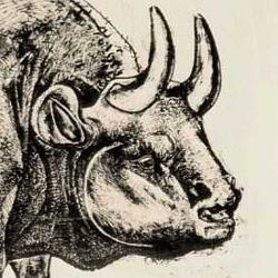 Animals in Art - Pablo Picasso