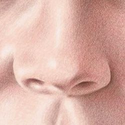 Color Pencil Portraits - How to Draw the Nose