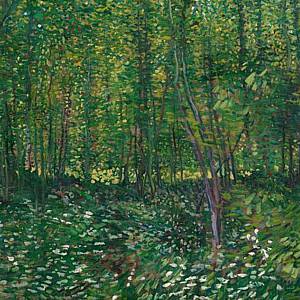 'Trees and Undergrowth' 1887