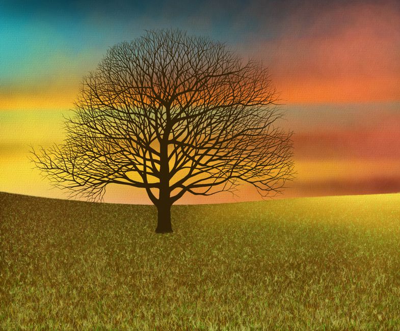 Painting a Tree in Autumn - Step 6