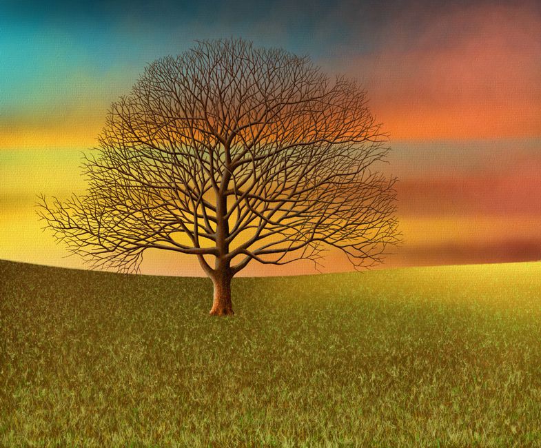 How to Paint a Tree in Autumn - Step 7