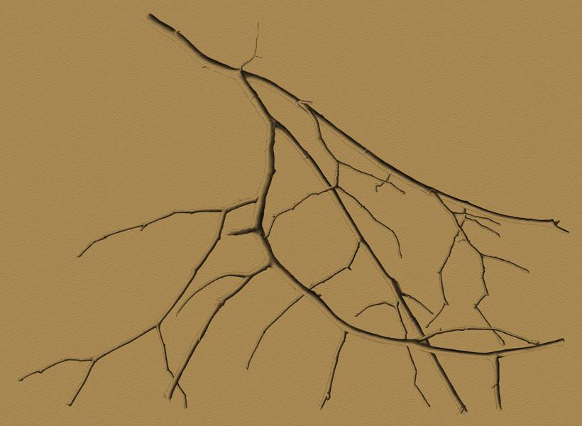 Drawing the Branches of a Tree - Step 6