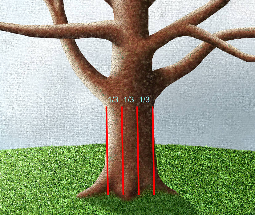 How to Paint a Tree - The proportions of tone