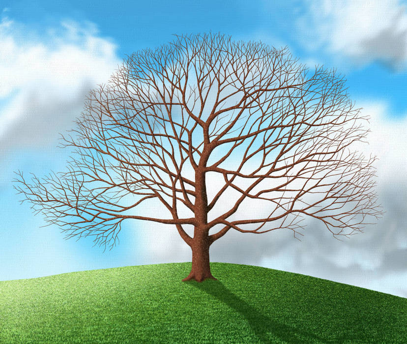 How to Paint a Tree - Adding the dark tones